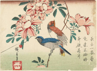 Blue-and-White Flycatcher, Red Jaybird, and Peony