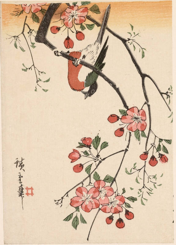 Bird and Cherry Blossoms (Descriptive Title)
