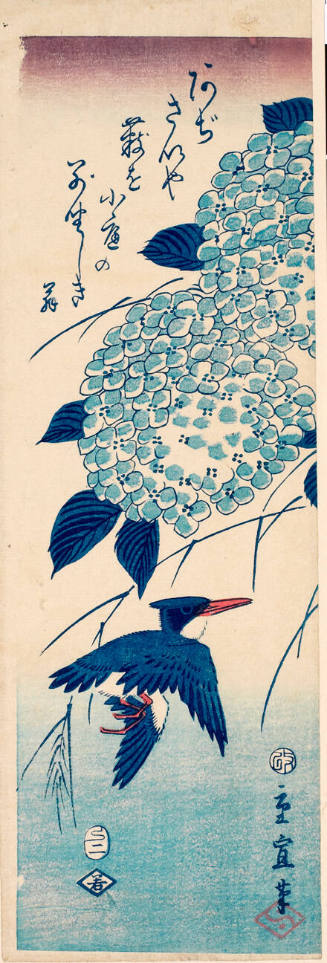 Kingfisher and Hydrangea (Descriptive Title)