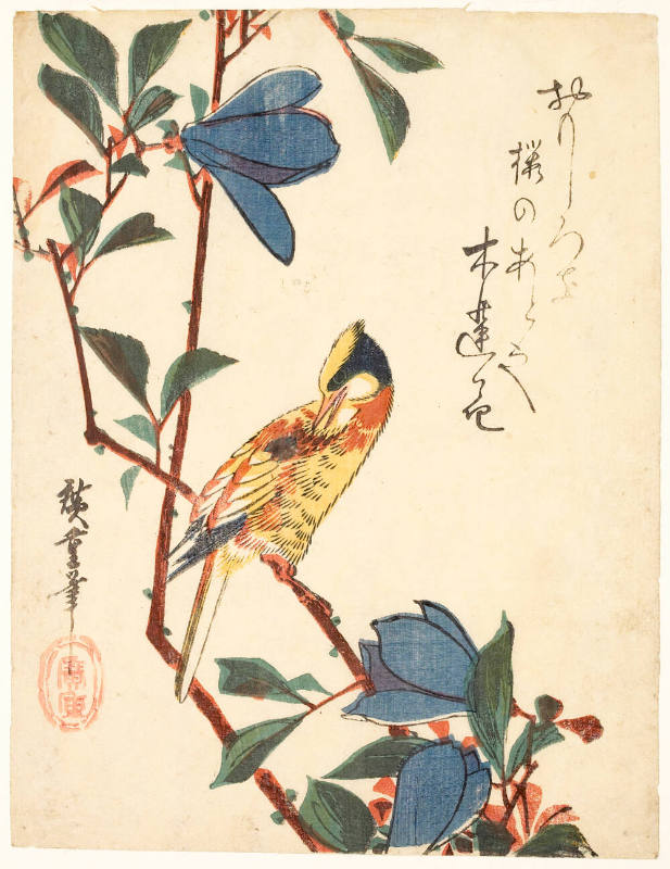 Bird on Magnolia Branch (Descriptive Title)