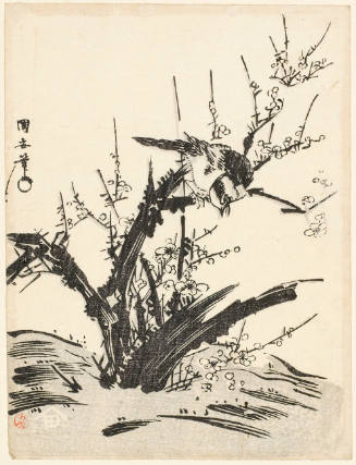 Sparrow on a Plum Tree