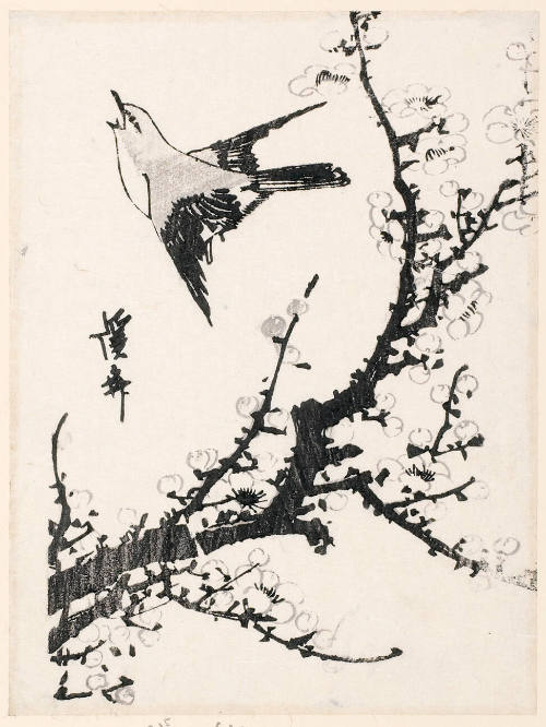 Bird and Plum Branch