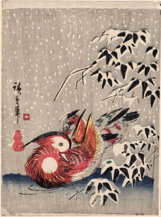 Mandarin Ducks in Snow (Descriptive Title)