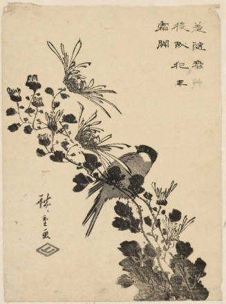 Bird and Wild Chrysanthemums