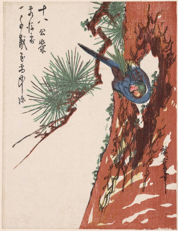 Bird on Pine Tree (Descriptive Title)
