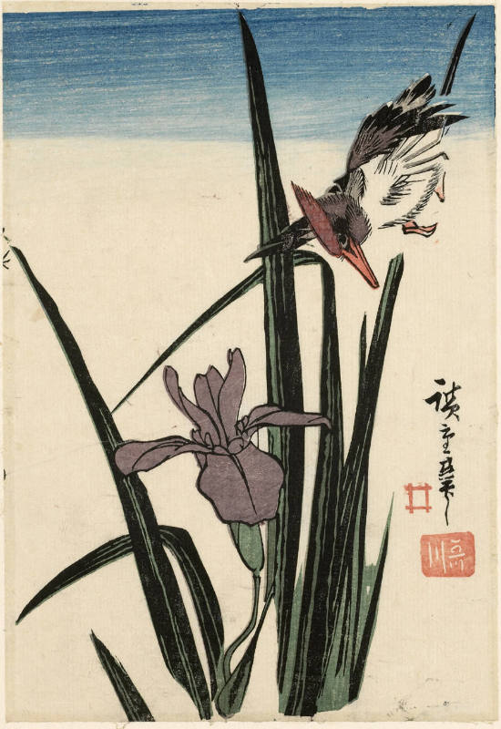 Kingfisher and Iris (descriptive title)