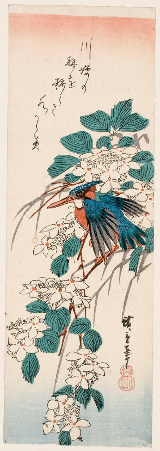 Kingfisher and Flowering Plant