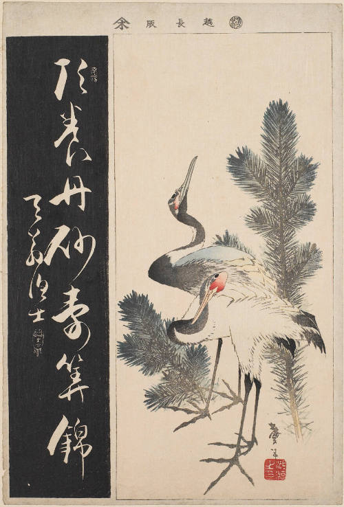 Cranes and Pine