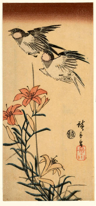 Two Swallows and Tiger Lily