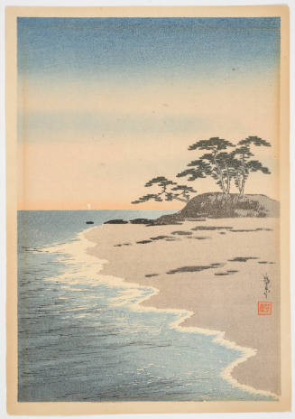 Sea Shore and Pine Trees