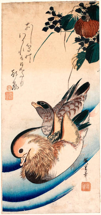 Mandarin Ducks and Clematis