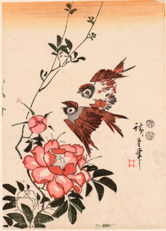 Sparrows and Camellia (Descriptive Title)