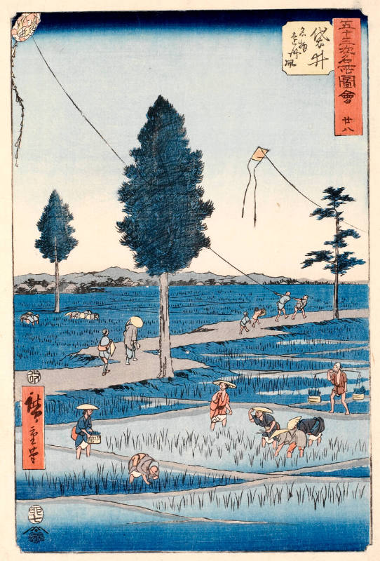 Enshū Kites, A Famous Product of Fukuroi