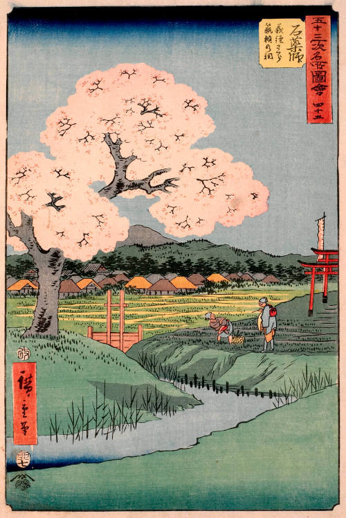 Yoshitsune’s Cherry Tree and the Shrine to Noriyori at Ishiyakushi