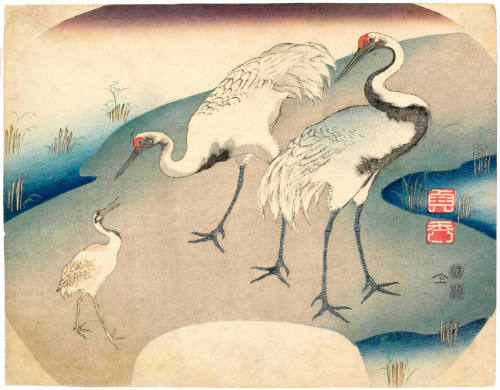 Three Manchurian Cranes