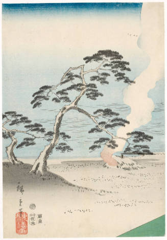 Pine Trees by the Sea (Descriptive Title)