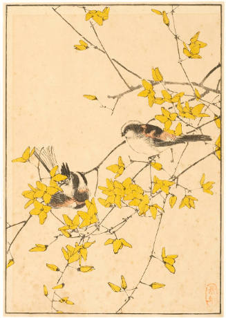 Birds in Yellow Bush  (descriptive title)