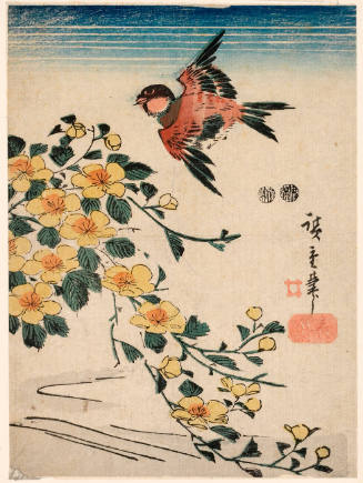 Sparrow and Japanese Roses (Descriptive Title)