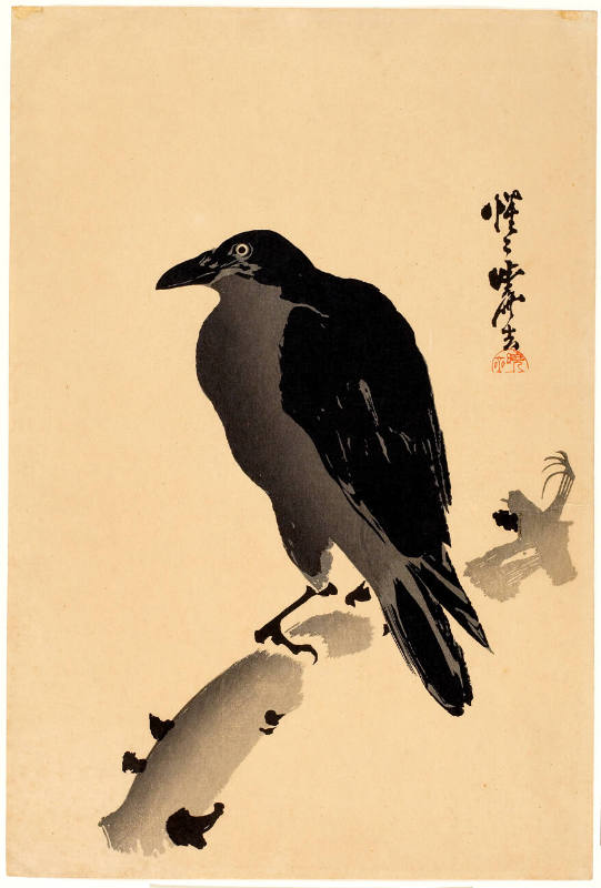 Crow on Branch (Descriptive Title)