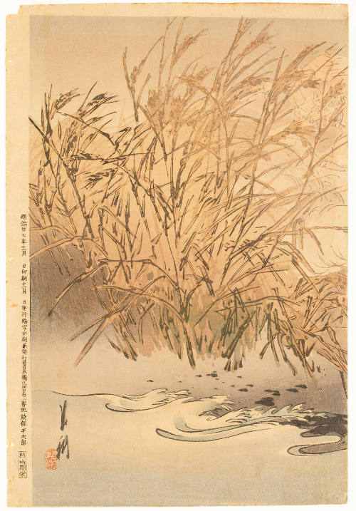 Reeds Along the Shore