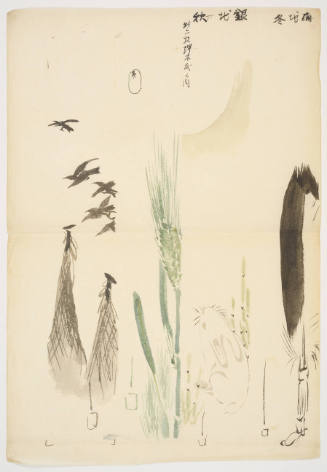 Sketches for Tanzaku Poem Cards: Flying Crows, Rice Plant, Rabbit Gazing at Moon, and Feather