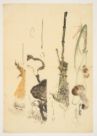 Sketches for Tanzaku Poem Cards: Bamboo Shoots, Mushroom, Bloom, and Matsutake Mushroom

