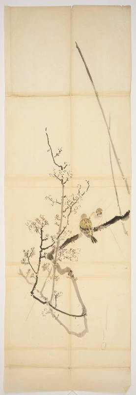 Sparrows on Flowering Plum Tree