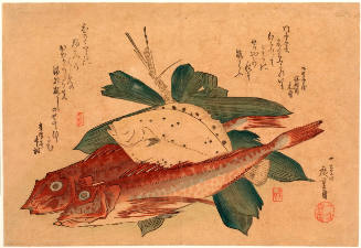 Kanagashira Gurnards, Flatfish & Bamboo Grass