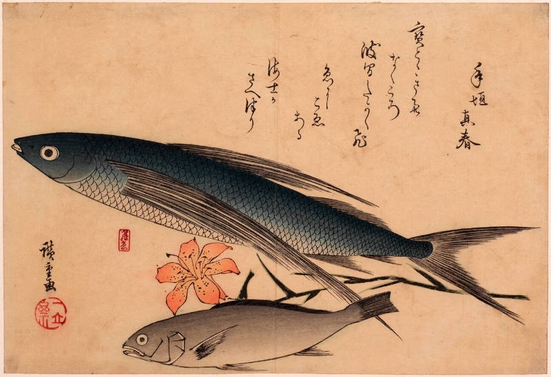 Flying Fish, Japanese Croaker & Lily