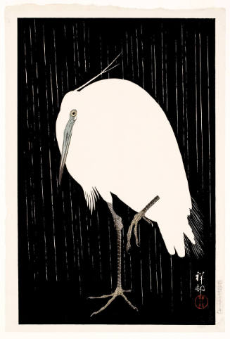 Egret Standing in Rain