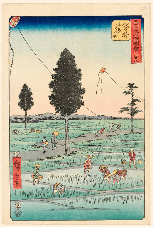 Enshū Kites, A Famous Product of Fukuroi