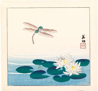 Dragonfly and Lotus