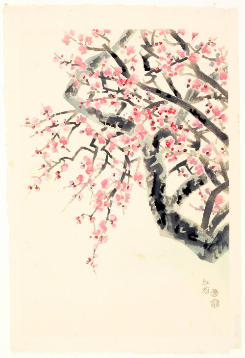 Red Plum Tree