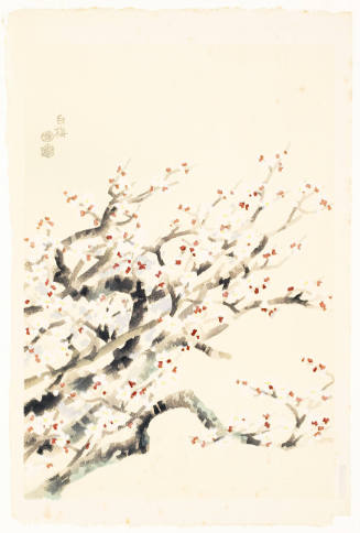 White Plum Tree