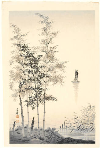 Bamboo Grove Near Lake