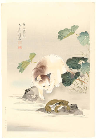 Cat and Frog