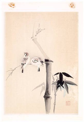 Two Birds and Bamboo