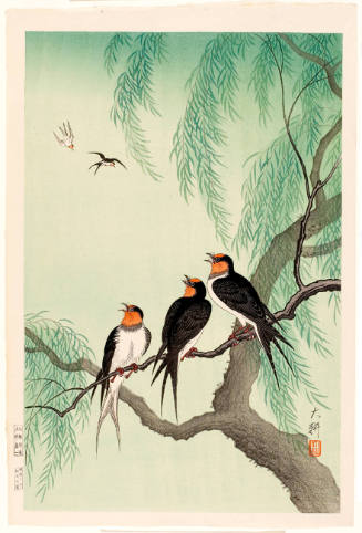 Three Birds in a Weeping Willow Tree
