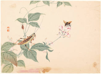 Grasshopper and Bee on Vine
