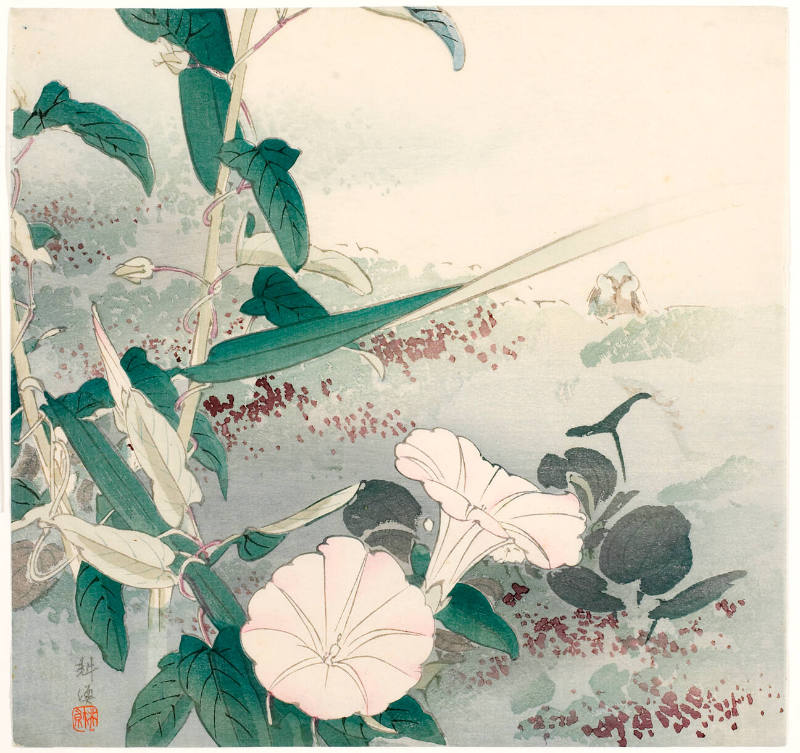 ogijiページ Morning Glory and Frog – Works – Honolulu