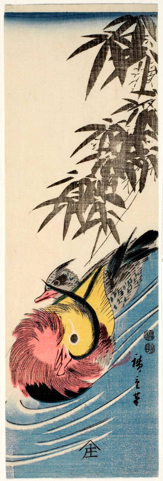 Mandarin Ducks Swimming Under Bamboo  (Descriptive Title)