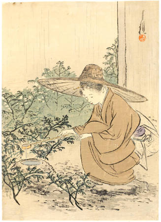 Opening the Teahouse
