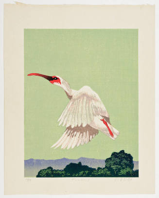 Flying Japanese Crested Ibis