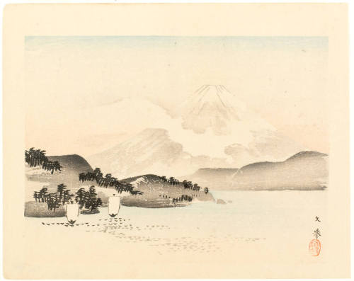 View of Mount Fuji from the Lake