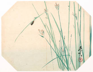 A Firefly on Grasses