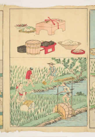 Rice: The Usage of a Water Wheel