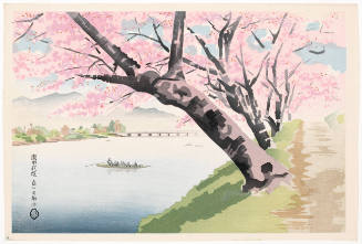 Cherry Trees Along the Seta River Bank