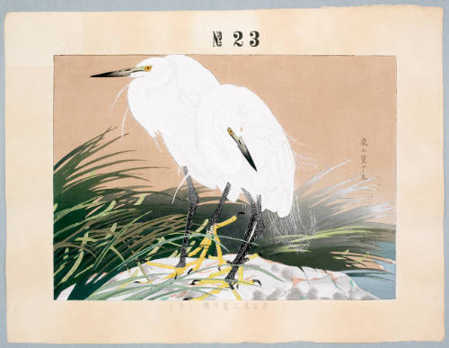 Two Herons (23 printing steps)