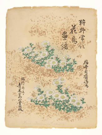 A Set of Illustrations of Kanö Tsunenobu’ Birds and Flowers