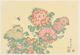 Modern Reproduction of: Chrysanthemums and Horsefly - Originally from an untitled series known as Large Flowers